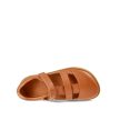 CRAVE SHELLWOOD Cognac