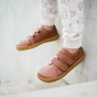 CRAVE SPRINGFIELD Cognac