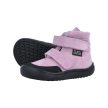 Jonap Jerry Orchid