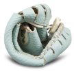 Magical Shoes MOXY Baby Mint
