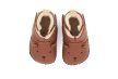 Minimus Little Bear 