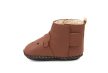 Minimus Little Bear 