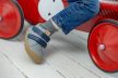 Minimus Roller Grey