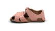 Minimus Sanderling Pink