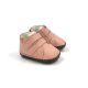 Redstart 2 Pink