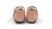 Redstart 2 Pink