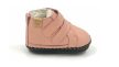 Redstart 2 Pink
