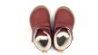 Robin 2 Red