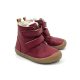 Robin 2 Red