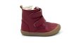 Robin 2 Red
