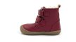 Robin 2 Red