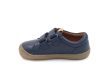 Woodpecker Navy