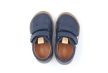 Woodpecker Navy