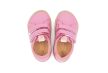 Woodpecker Pink